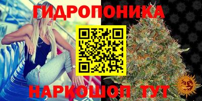 трава Беслан