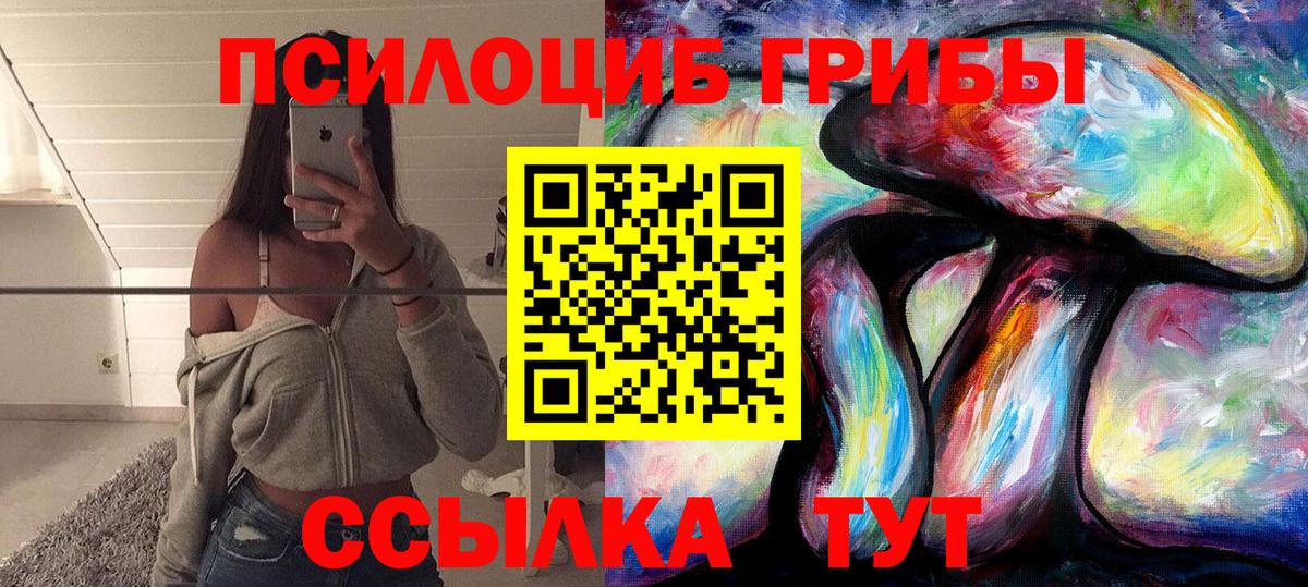 Галлюциногенные грибы Psilocybine cubensis Новосибирск