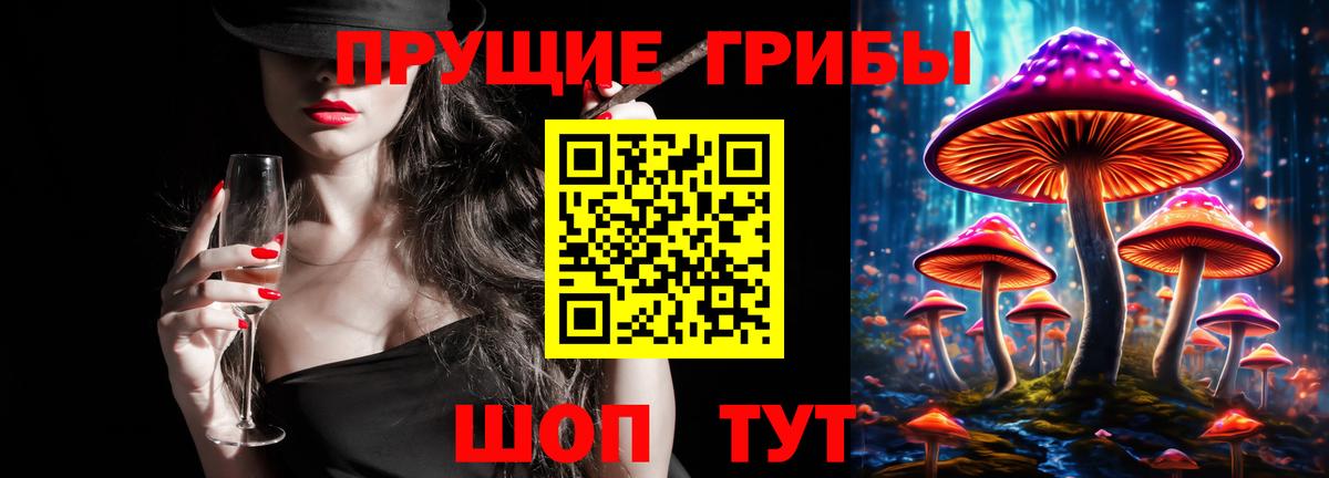 Галлюциногенные грибы мицелий  Вход с VPN  Новосибирск 