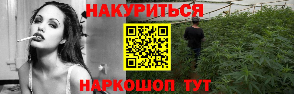 Каннабис индика Новосибирск